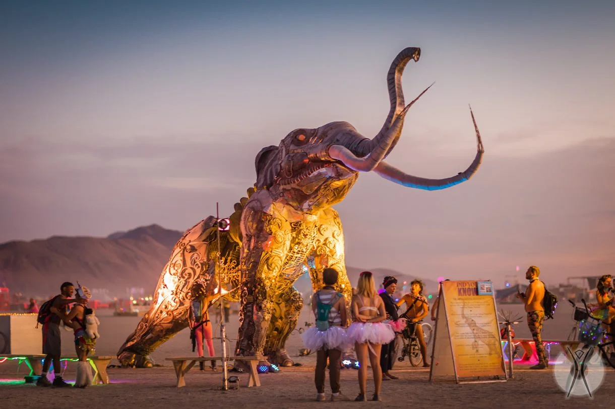 burning-man11.jpg.webp