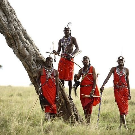  From Pastoralism to Progress: Exploring Maasai Mara’s Pastoral Traditions