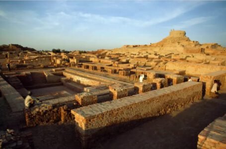 Surkotada Speaks: Unearthed Relics from the Cradle of Civilization