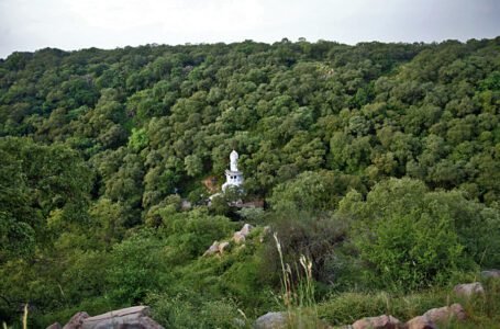 Caves of Mangar Bani and Anangpur: Literary Analysis of an Unforgettable Meeting — Mystery and Time