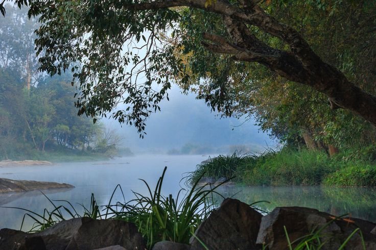  Exploring the Sacred and Cultural Essence of the Cauvery River