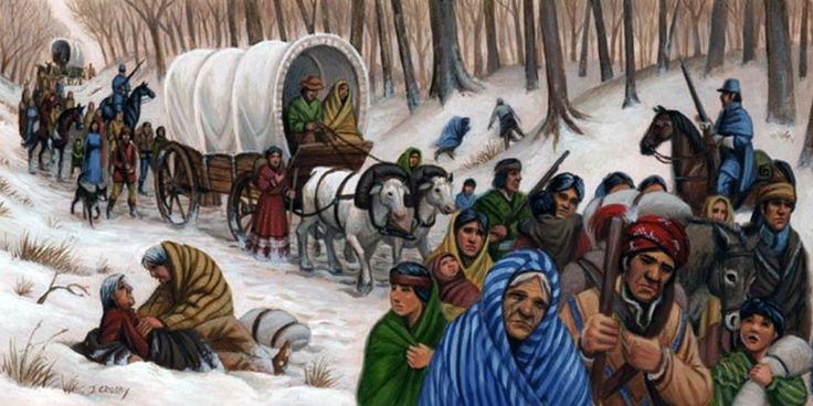  Indigenous history: Trail of Tears and Indian removal act