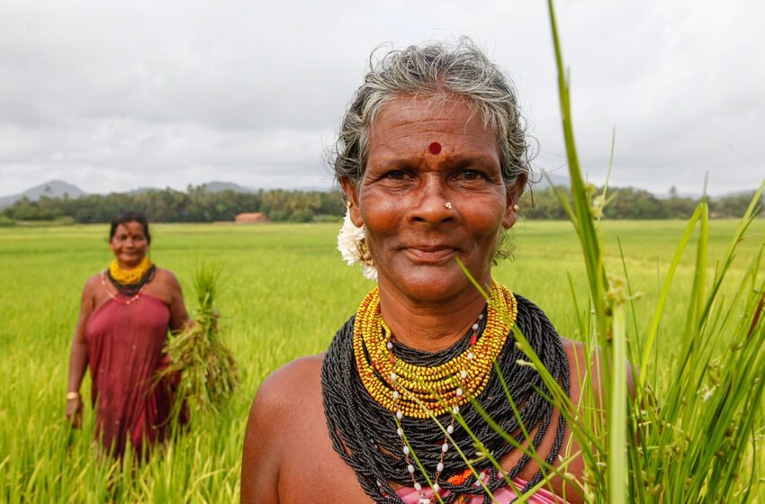  Halakki Songs: The Soul of Melody of Folk Music of Karnataka