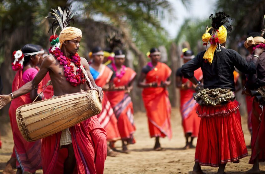  Saila Dance of Chhattisgarh: A Celebration of Tribal Culture and Harvest