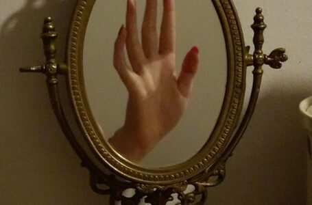 The Mirror and Suspicious Wife : A Face in the Glass: Love, Trust, and the Invention of Reflection