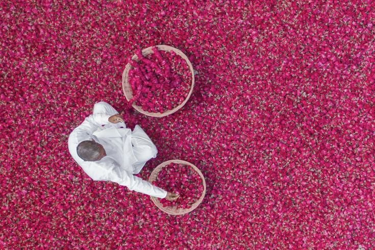  The Lost Art of Indian Perfume: Tracing Royal Fragrances Through the Ages