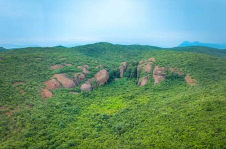 India’s First Toolmakers: The Revolutionary Discovery at Gudiyam