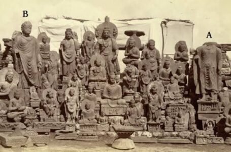 Where Cultures Meet: The Preservation of Indo-Greek Heritage in India