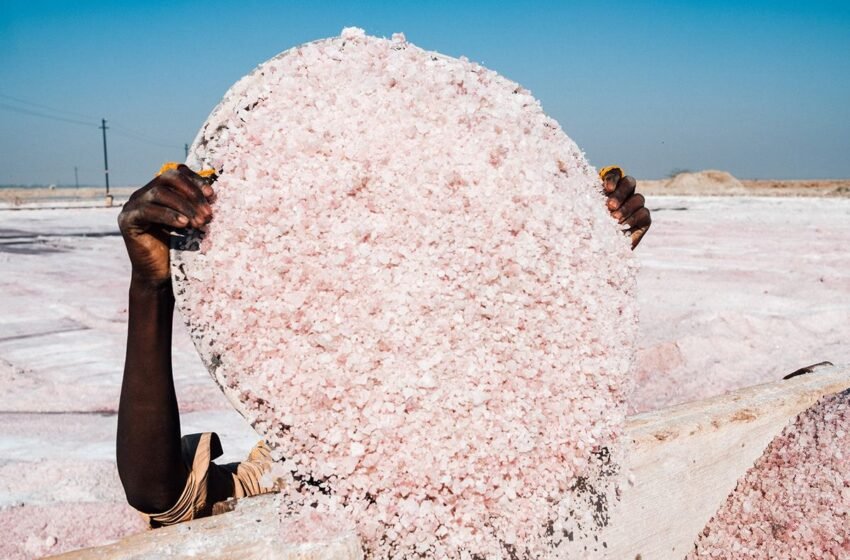 Sambhar’s Silent Sovereigns: The Forgotten Salt Traders of Rajasthan