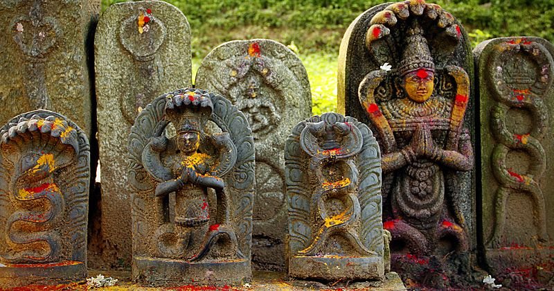  More Than Just Animals: The History of Serpent Worship in India