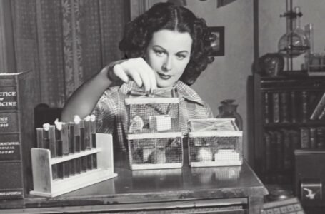 Hedy Lamarr: Beauty, Scandal, and the Invention that Changed the Modern World