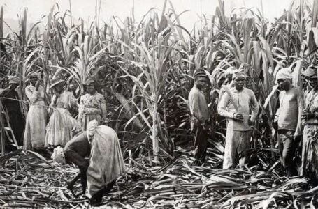 The Dangerous History of Sugar: How a Sweet Luxury Shaped Empires, Fueled Slavery and Changed Human Health